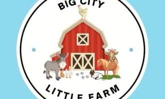 Camping near Country Place RV Park: Big City Little Farm, Cleveland, Texas