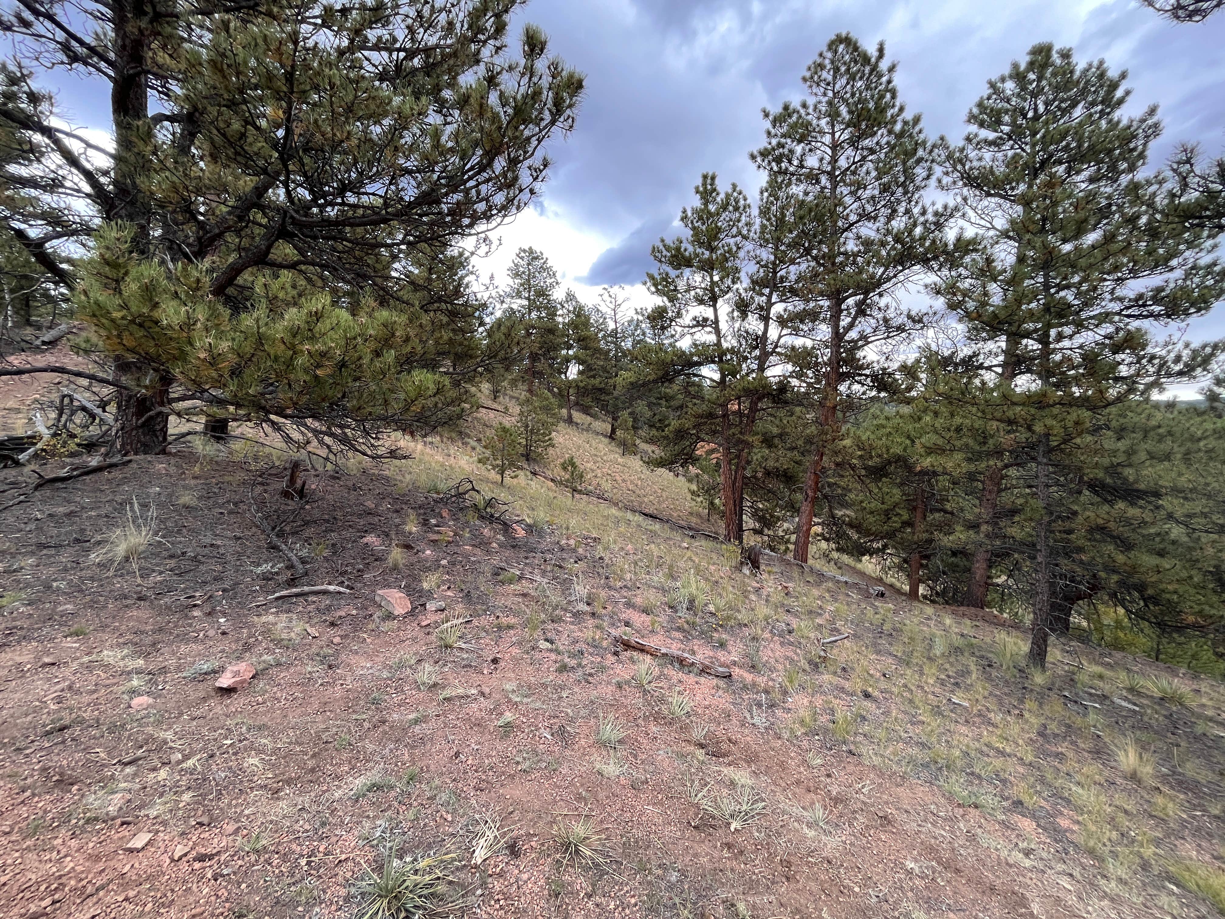 Camper-submitted photo at Mydnyt Mountain near Lake George, CO