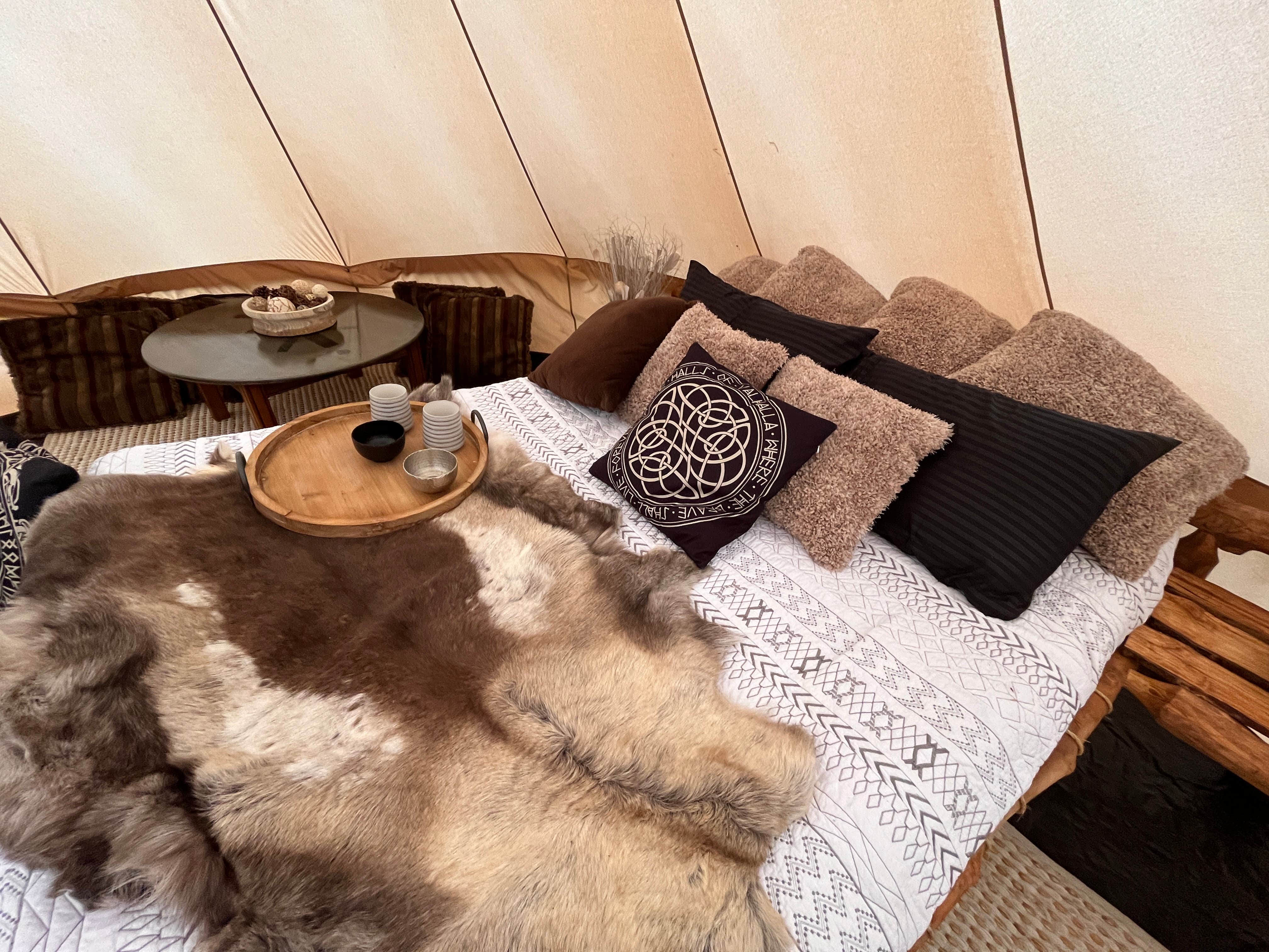 Matthew N.'s photo of camping with pets at Mydnyt Mountain near Guffey, CO