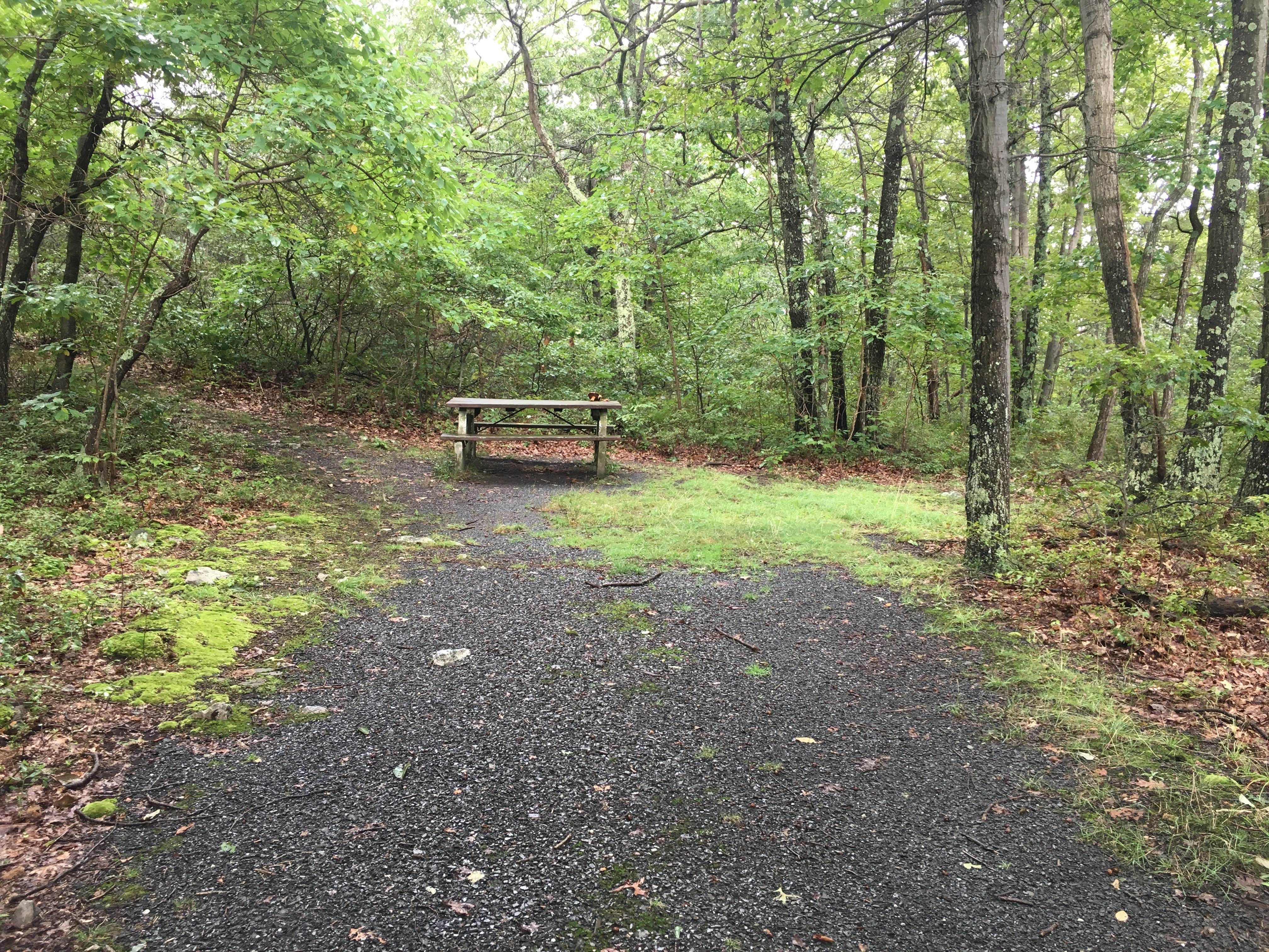 High Point State Park Campground