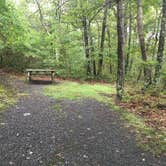 Review photo of High Point State Park Campground by Ethan K., November 1, 2018