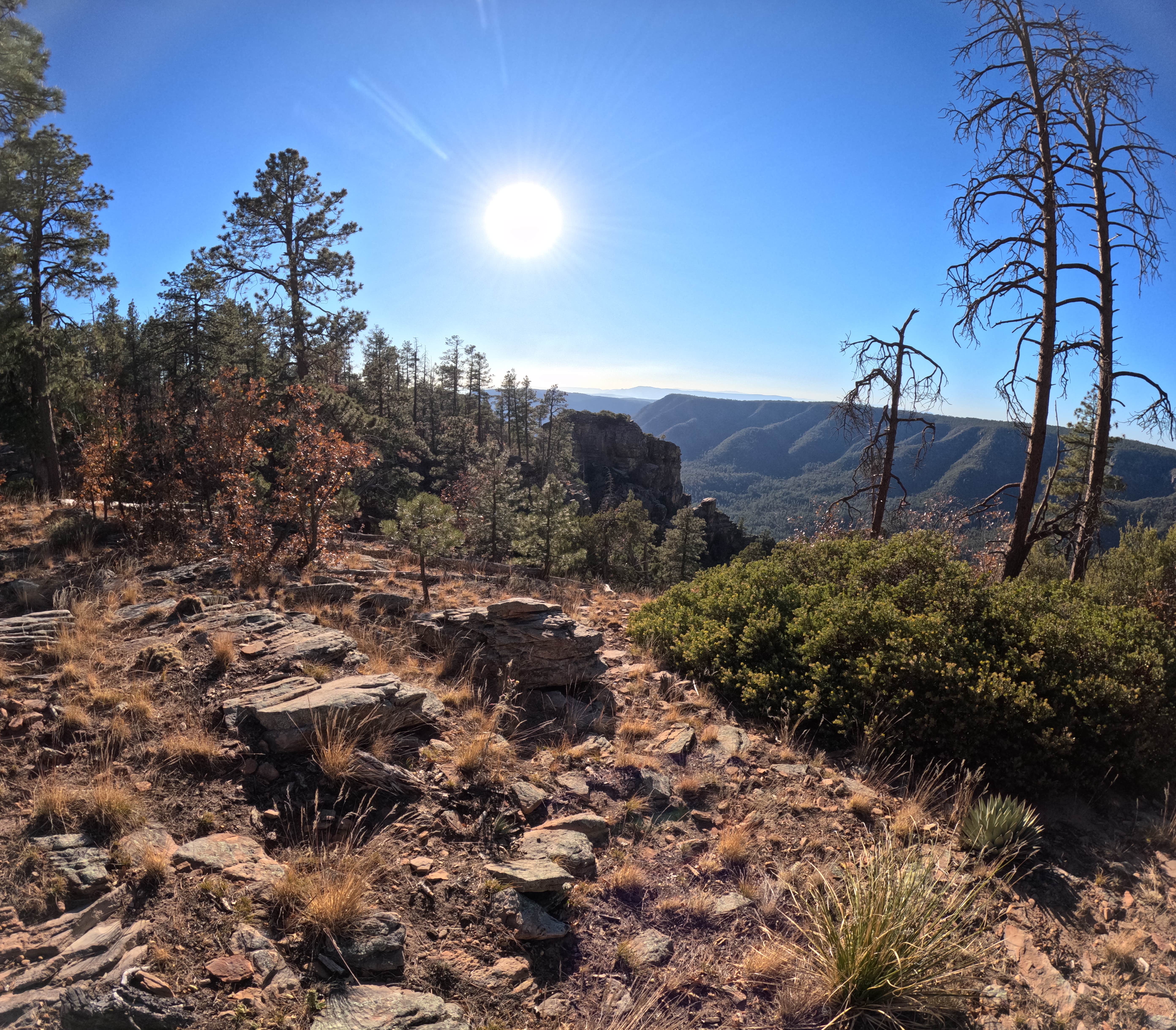 Camper submitted image from Pine Pointe Vista - 4