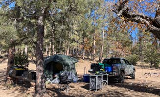 Shane K.'s photo at Pine Pointe Vista near Pine, AZ