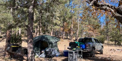 Camping