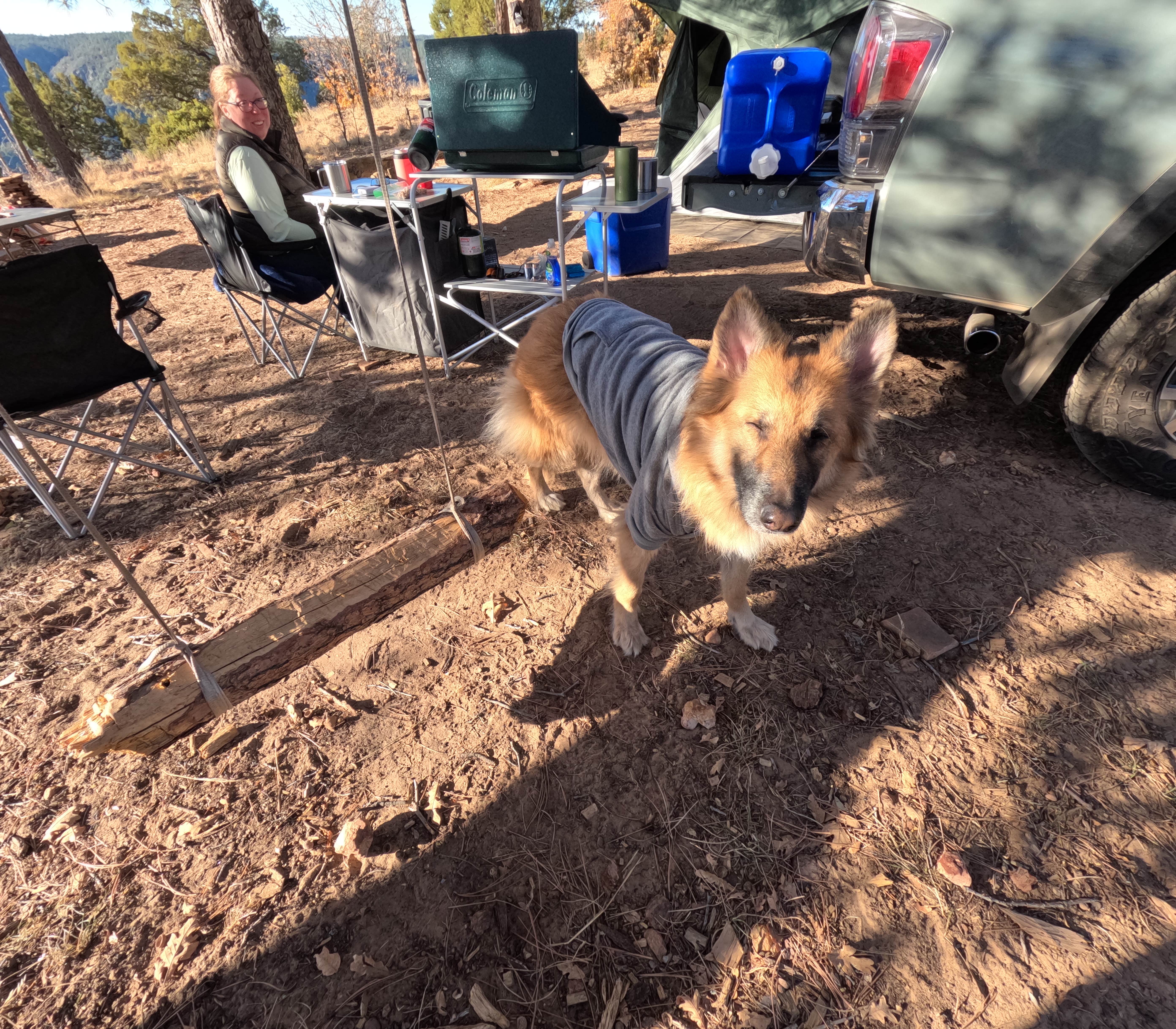 Shane K.'s photo of camping with pets at Pine Pointe Vista near Strawberry, AZ