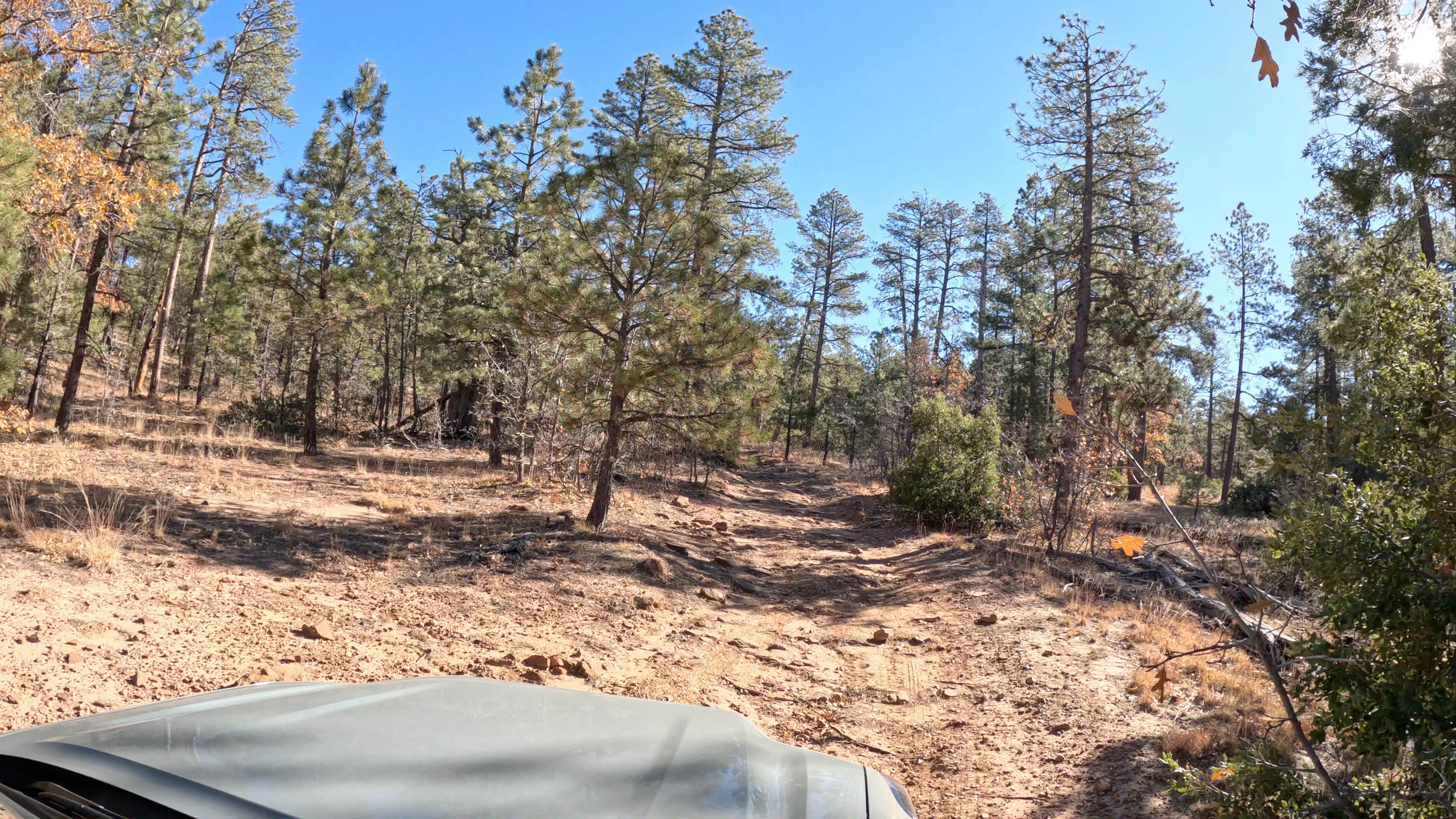 Camper submitted image from Pine Pointe Vista - 2