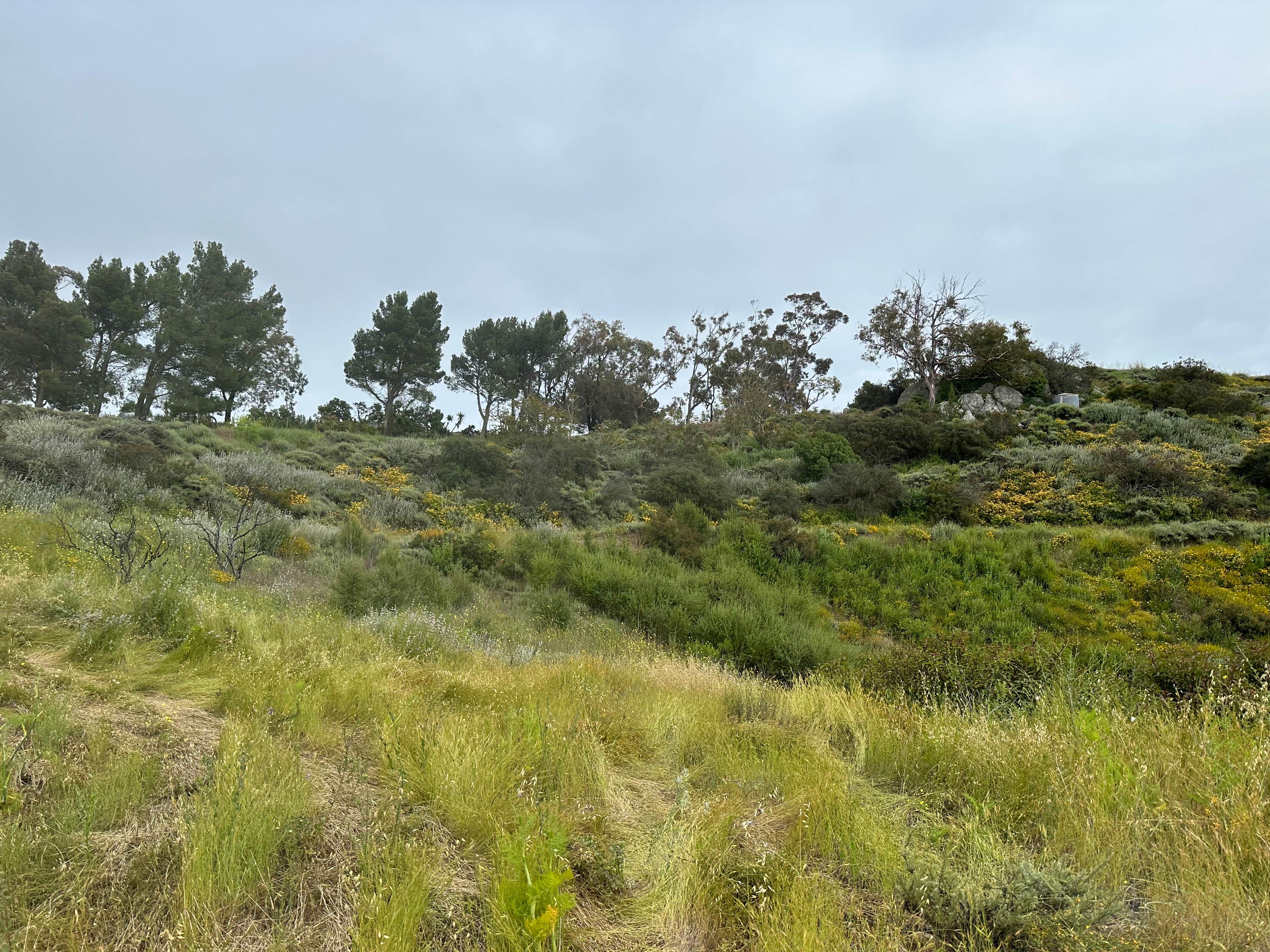 Camper-submitted photo at The Lodge at Deer Creek near Santa Monica Mountains National Recreation Area