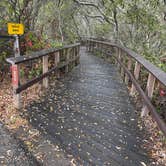 Review photo of San Simeon Creek Campground — Hearst San Simeon State Park by Lee D., November 15, 2023