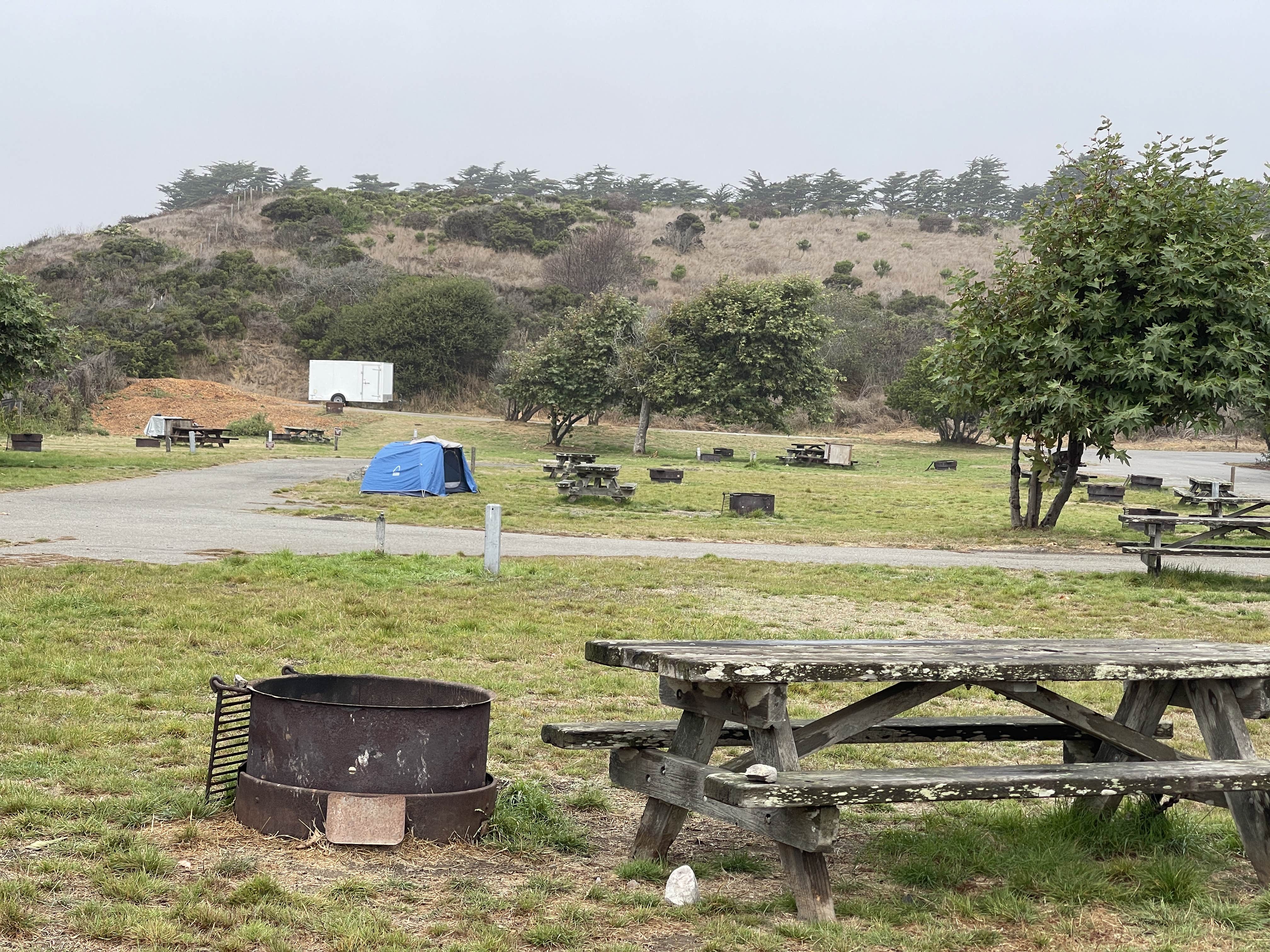Lee D.'s photo at San Simeon Creek Campground — Hearst San Simeon State Park near San Miguel, CA