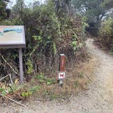 Review photo of San Simeon Creek Campground — Hearst San Simeon State Park by Lee D., November 15, 2023