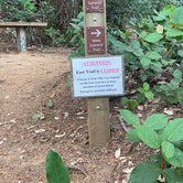 You could no longer do a loop trail due to storm damage