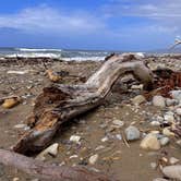 Review photo of Jalama Beach County Park by Lee D., November 15, 2023