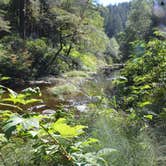 Review photo of Elliott State Forest Dispersed by Bob Z., November 15, 2023