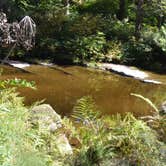 Review photo of Elliott State Forest Dispersed by Bob Z., November 15, 2023