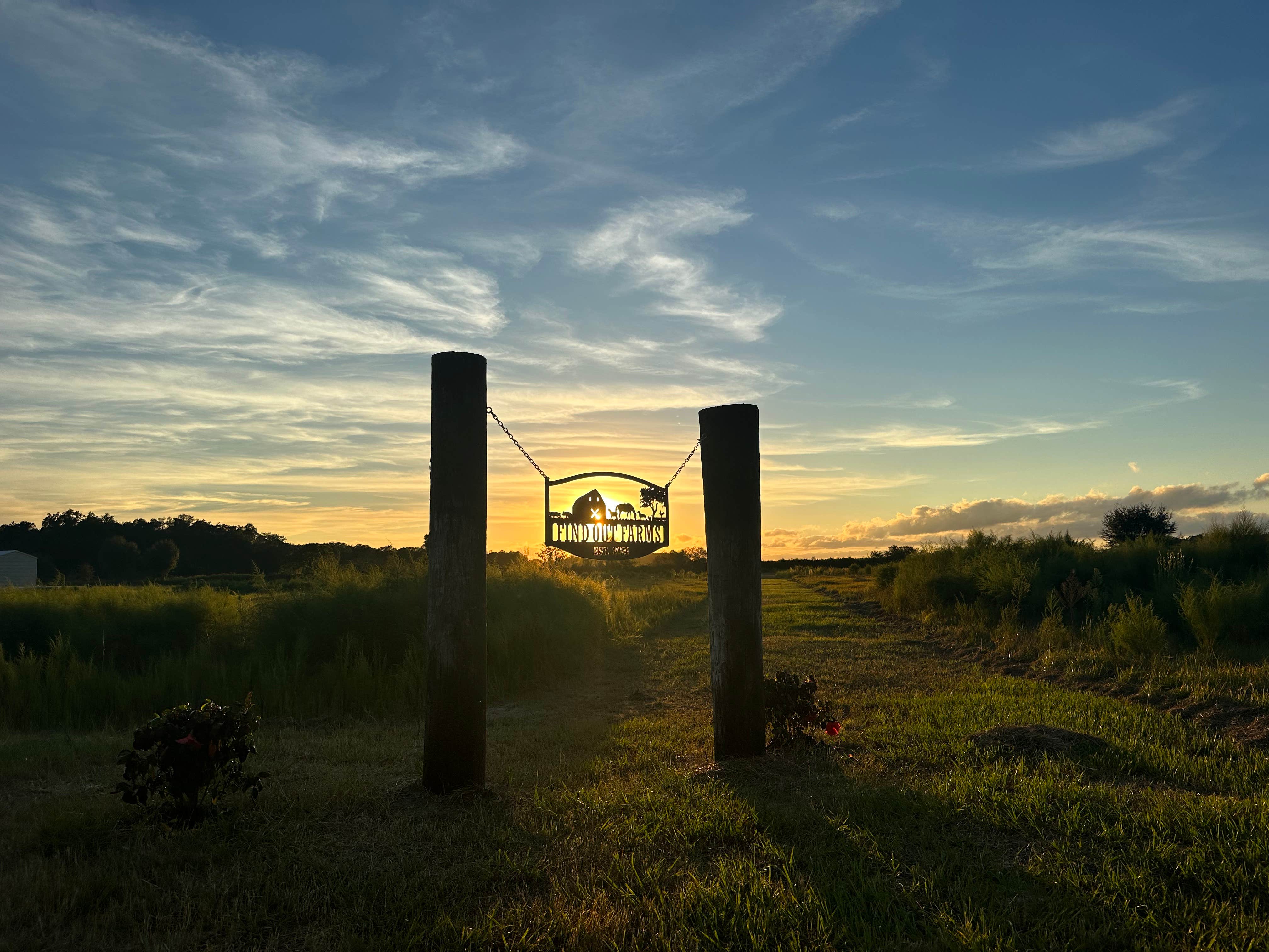 Camping near Camper's Holiday: Find Out Farms, Land O' Lakes, Florida