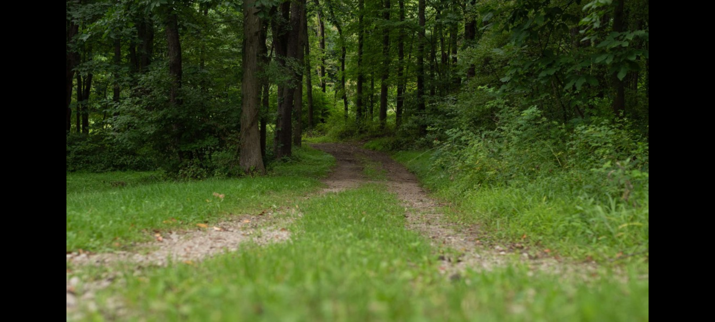 Camper-submitted photo at Quiet and Secluded near Gibsonia, PA