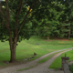 Quiet and Secluded