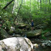 Review photo of Grandfather Mountain Campground by Caroline G., November 1, 2018