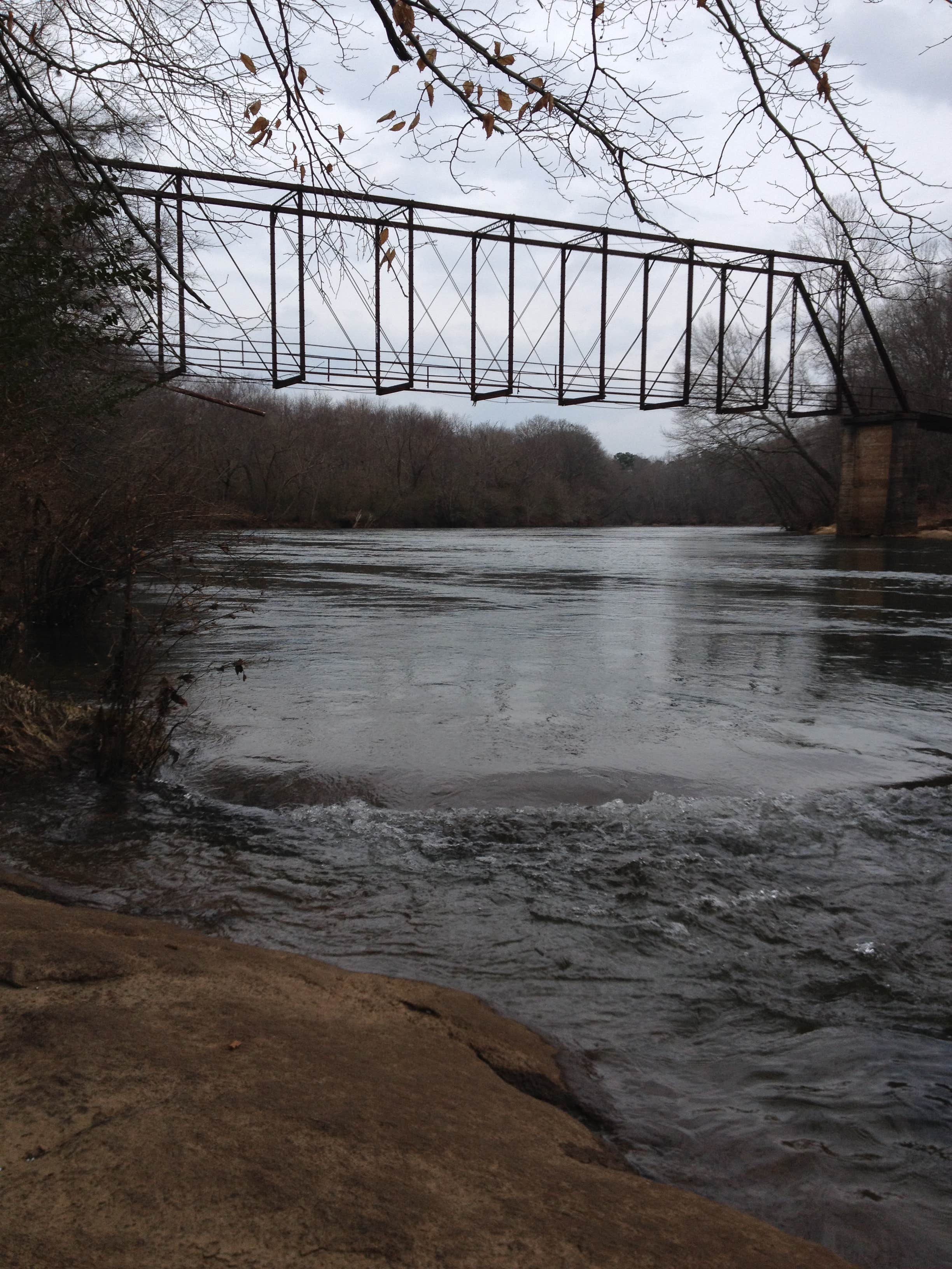 Camper-submitted photo at Tiny Cabin near Roswell, GA