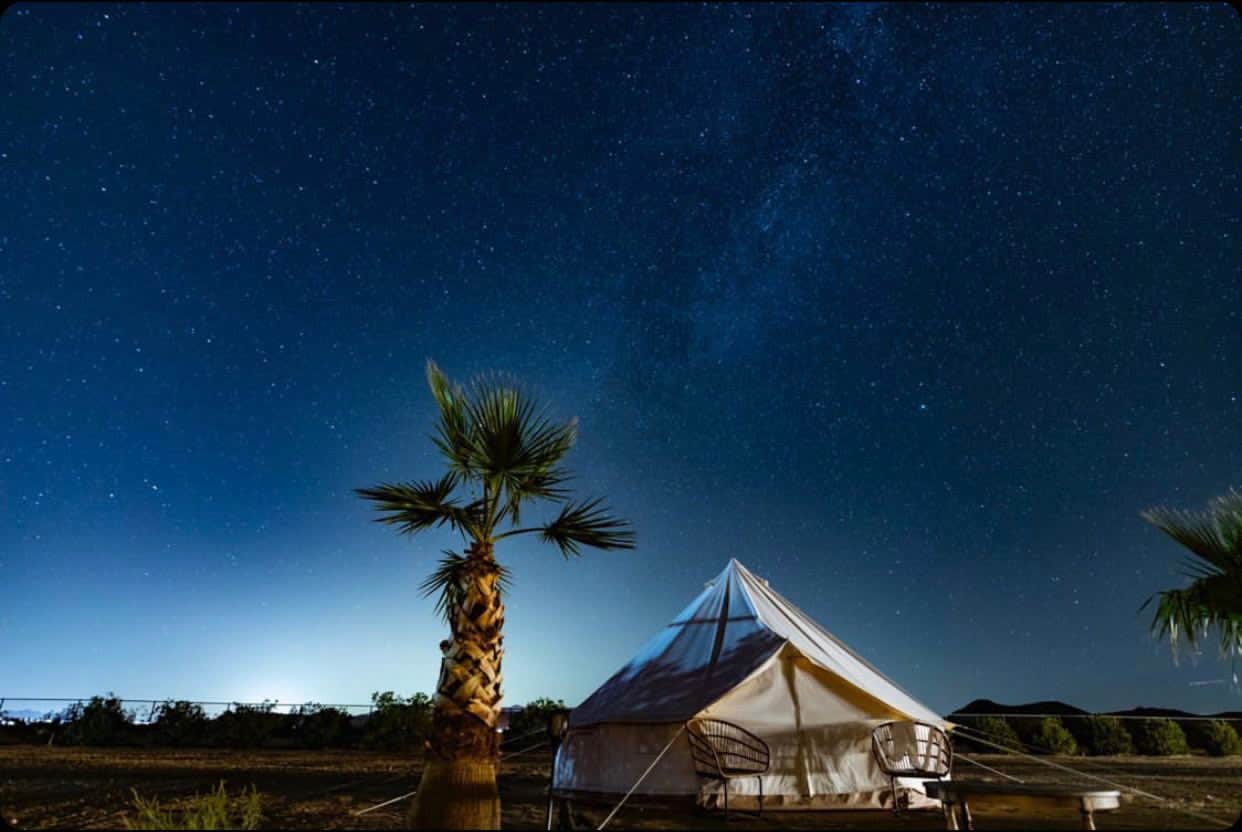 The Dyrt's photo at Electric Yurt with Cowboy Pool near Pioneertown, CA