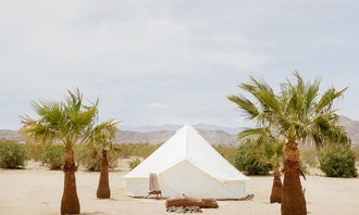 Camping near Coyote Gultch Hideout: Yurt Tent #2 With Cowboy Pool, Joshua Tree, California