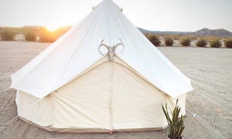 Camping near Coyote Gultch Hideout: Yurt Tent #4 with Cowboy Pool, Joshua Tree, California