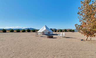 The Dyrt's photo at Yurt Tent #4 with Cowboy Pool near Yucca Valley, CA