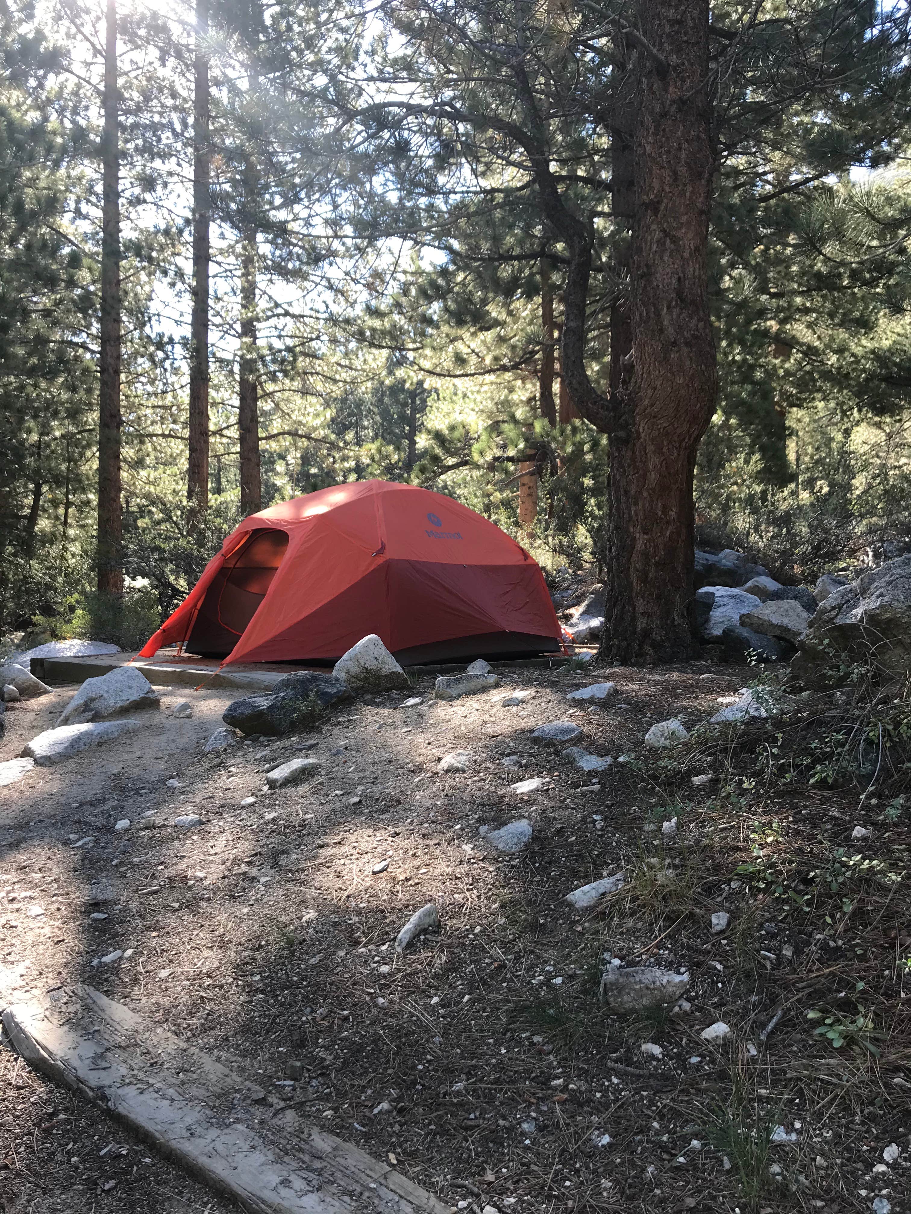 Hannah V.'s photo at Big Pine Creek Campground near Big Pine, CA