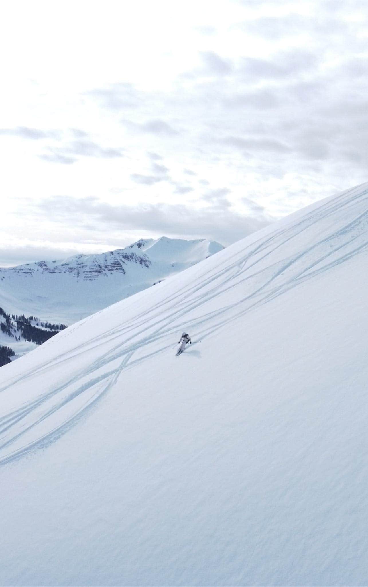 Camper-submitted photo at Campfire Ranch Wash Gulch near Crested Butte, CO