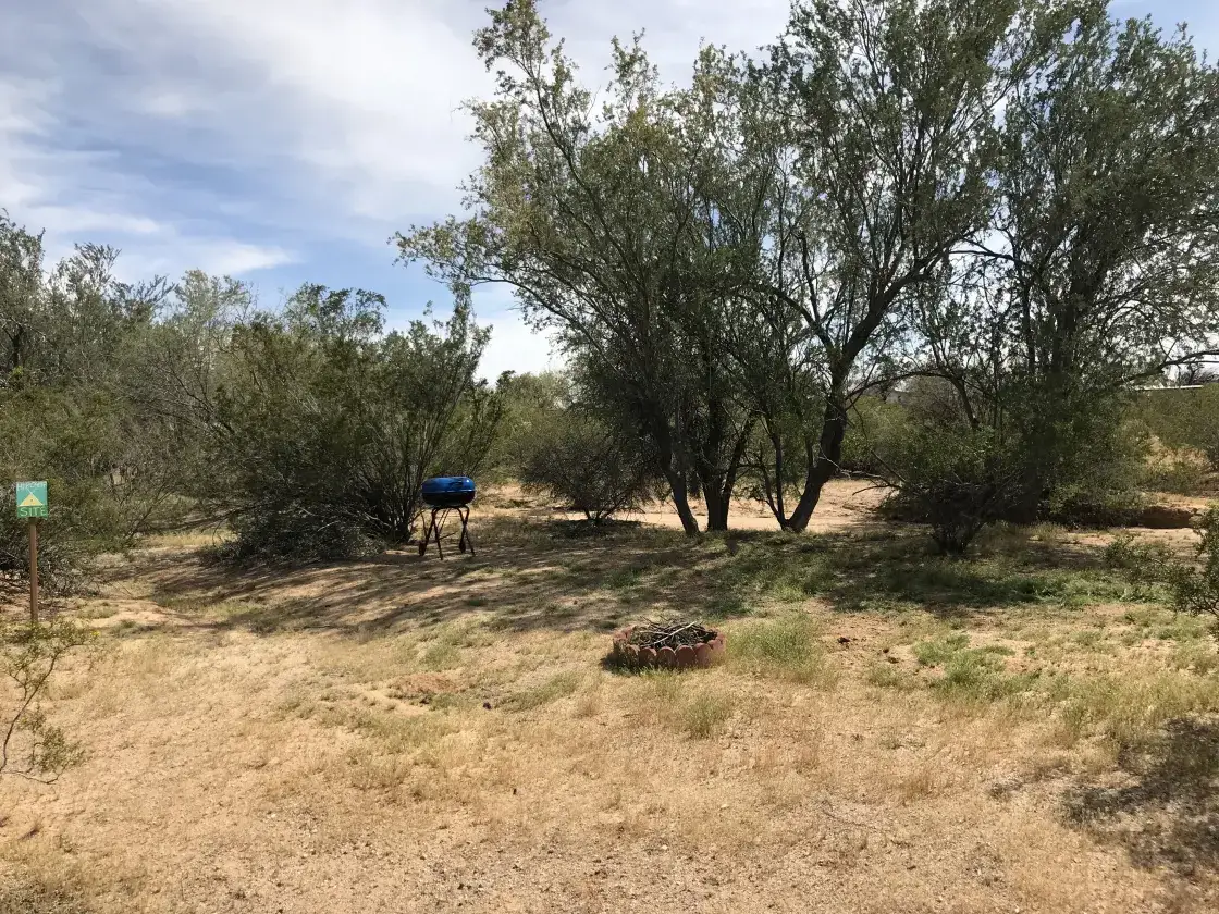 Camper-submitted photo at Garden of Peden near Oro Valley, AZ