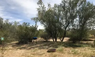 Camping near China Cabinet Ranch: Garden of Peden, Marana, Arizona