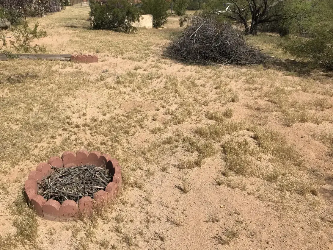 Camper-submitted photo at Garden of Peden near Oro Valley, AZ