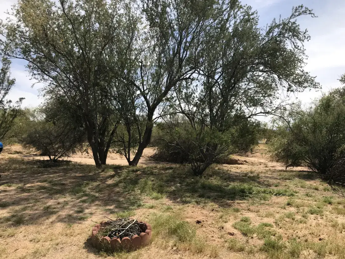 Camper-submitted photo at Garden of Peden near Oro Valley, AZ