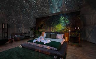 The Dyrt's photo of camping with pets at Loving Heart Retreats near Kingsland, TX