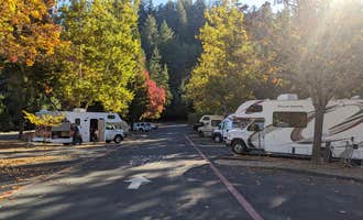 Camping near Lower Blooms Creek — Big Basin Redwoods State Park — CAMPGROUND CLOSED: Sanborn County Park, Saratoga, California