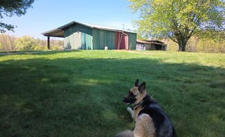 Kurt H.'s photo of camping with pets at Howland's Hidout near Sale Creek, TN