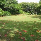 Review photo of Waiʻanapanapa State Park Campground by Christy K., July 25, 2015