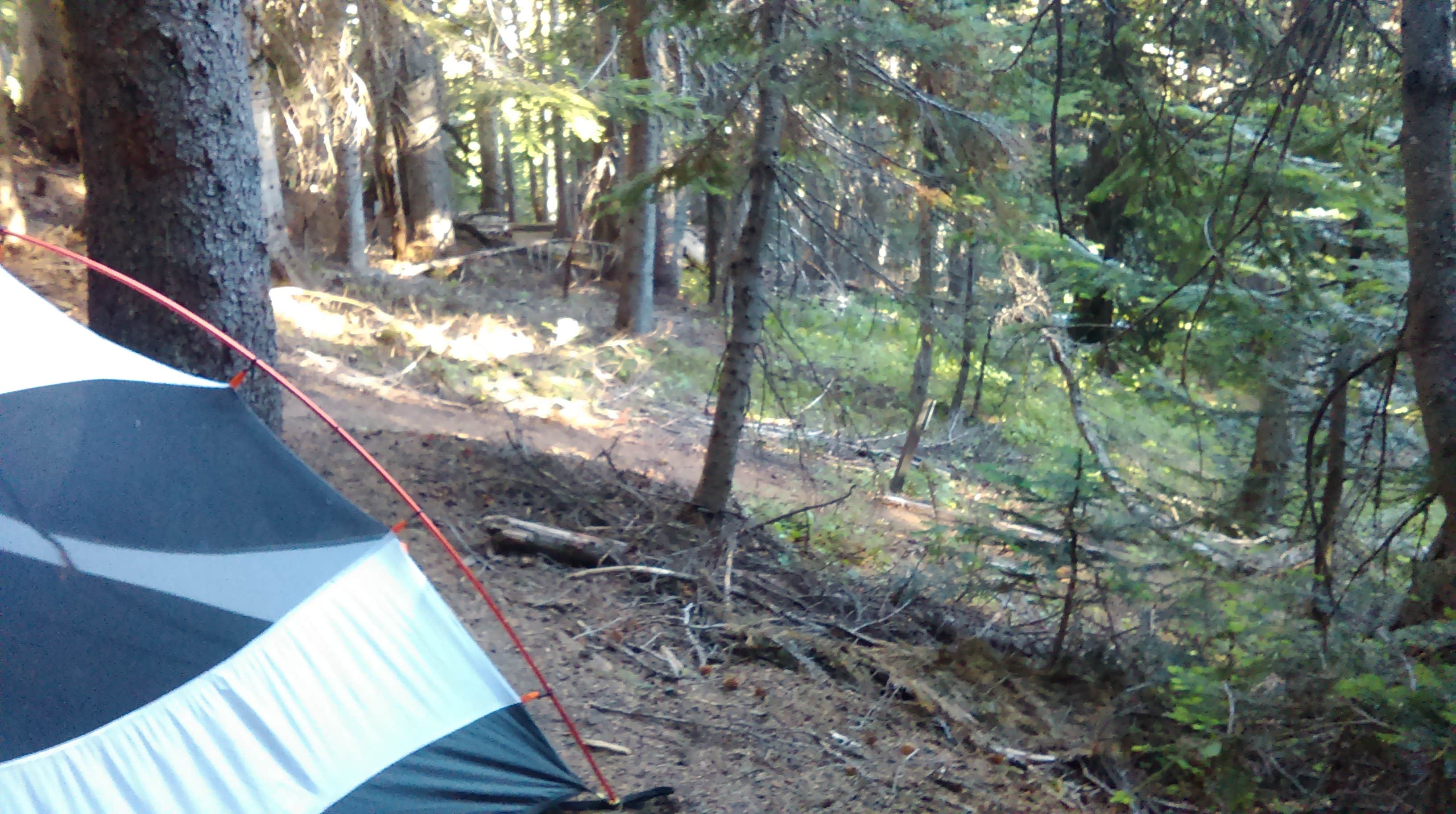 Danielle S.'s photo of tent camping at Mystic Camp — Mount Rainier National Park near Lake Tapps, WA