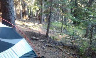 Danielle S.'s photo at Mystic Camp — Mount Rainier National Park near Mount Rainier National Park