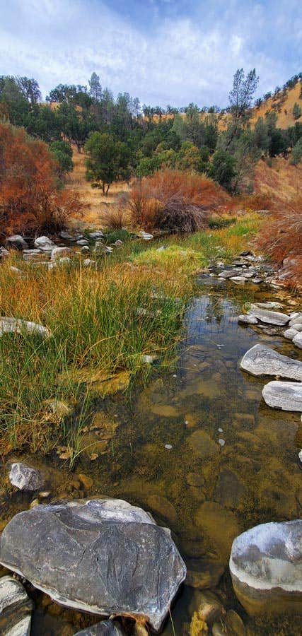 Camper-submitted photo at Cowboy Camp near Sebastopol, CA