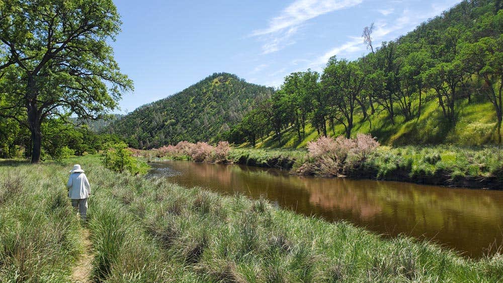 Camper-submitted photo at Cowboy Camp near Sebastopol, CA