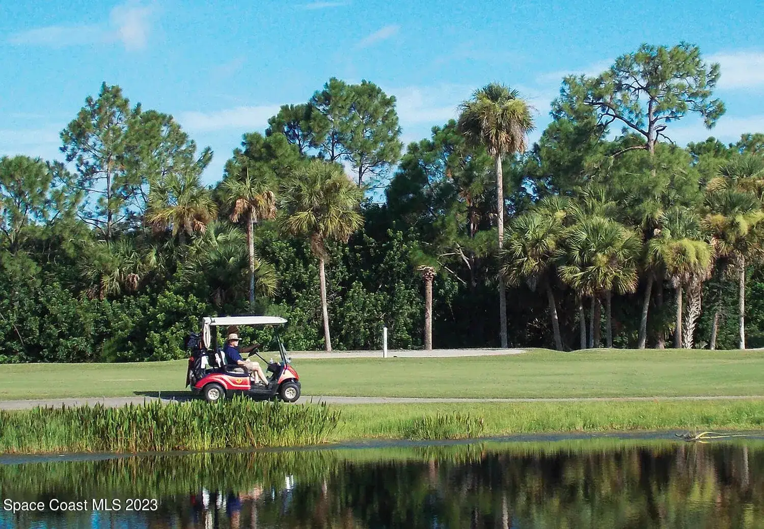 Camper-submitted photo at Florida Great Outdoors near Titusville, FL