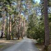 Review photo of Cathedral Pines Campground by Claire T., November 18, 2023
