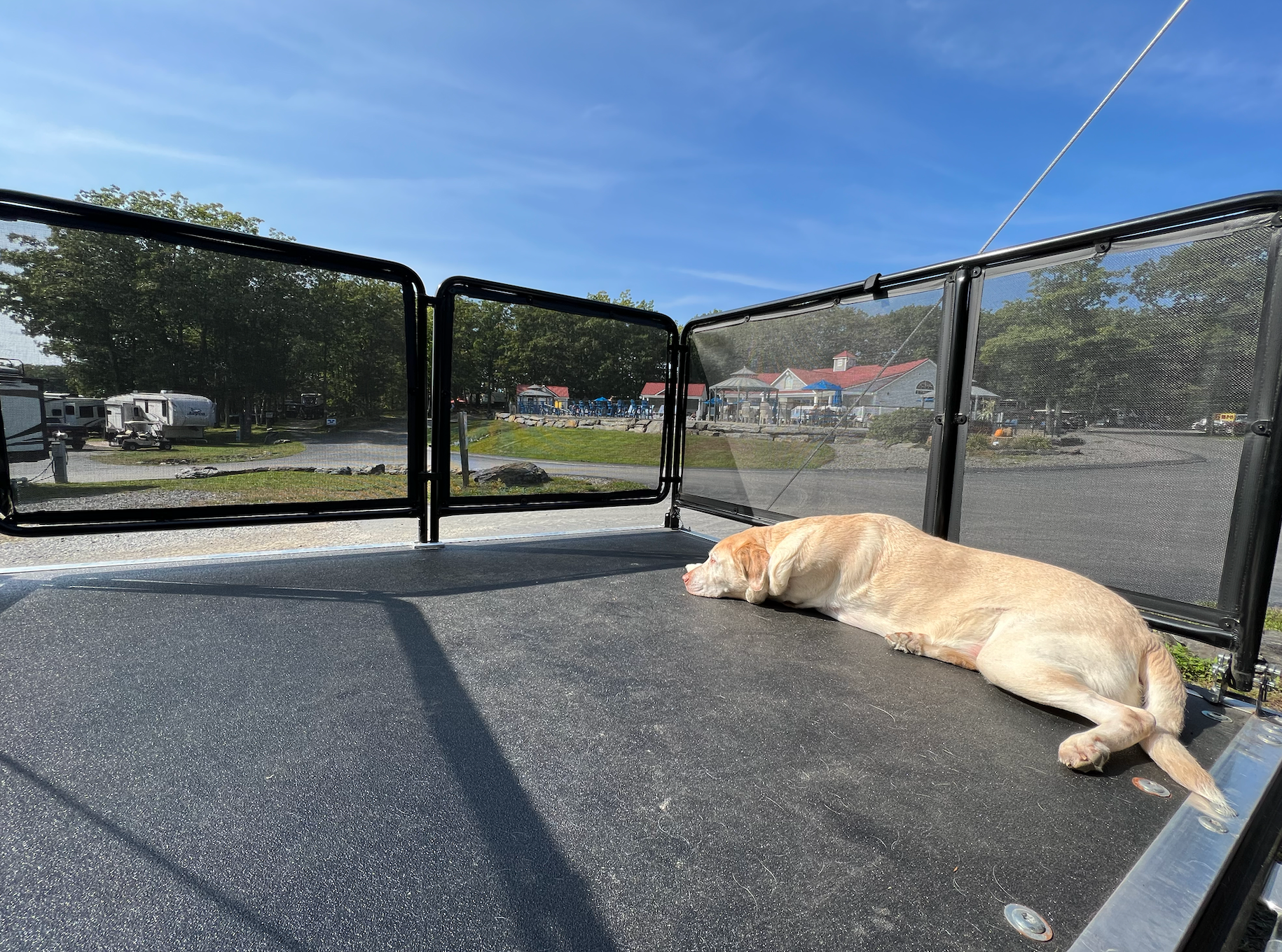 Claire T.'s photo of camping with pets at Bayley's Camping Resort near Portland, ME