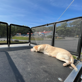 Review photo of Bayley's Camping Resort by Claire T., November 18, 2023