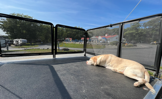 Claire T.'s photo of camping with pets at Bayley's Camping Resort near Portland, ME