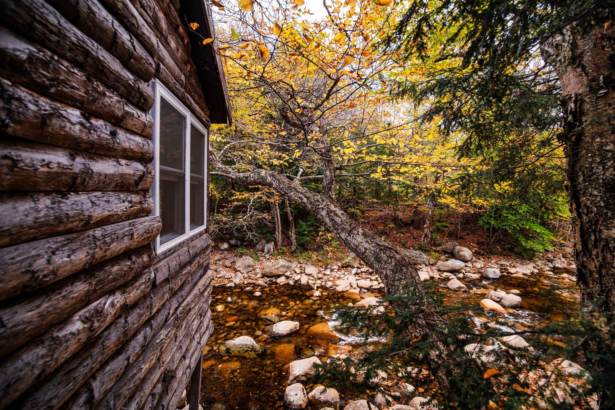 The Dyrt's photo of a cabin at Pemi Cabins NH LLC near Plainfield, VT