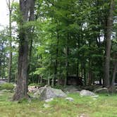 Review photo of Sebago Cabin Camp — Harriman State Park by Ethan K., November 1, 2018