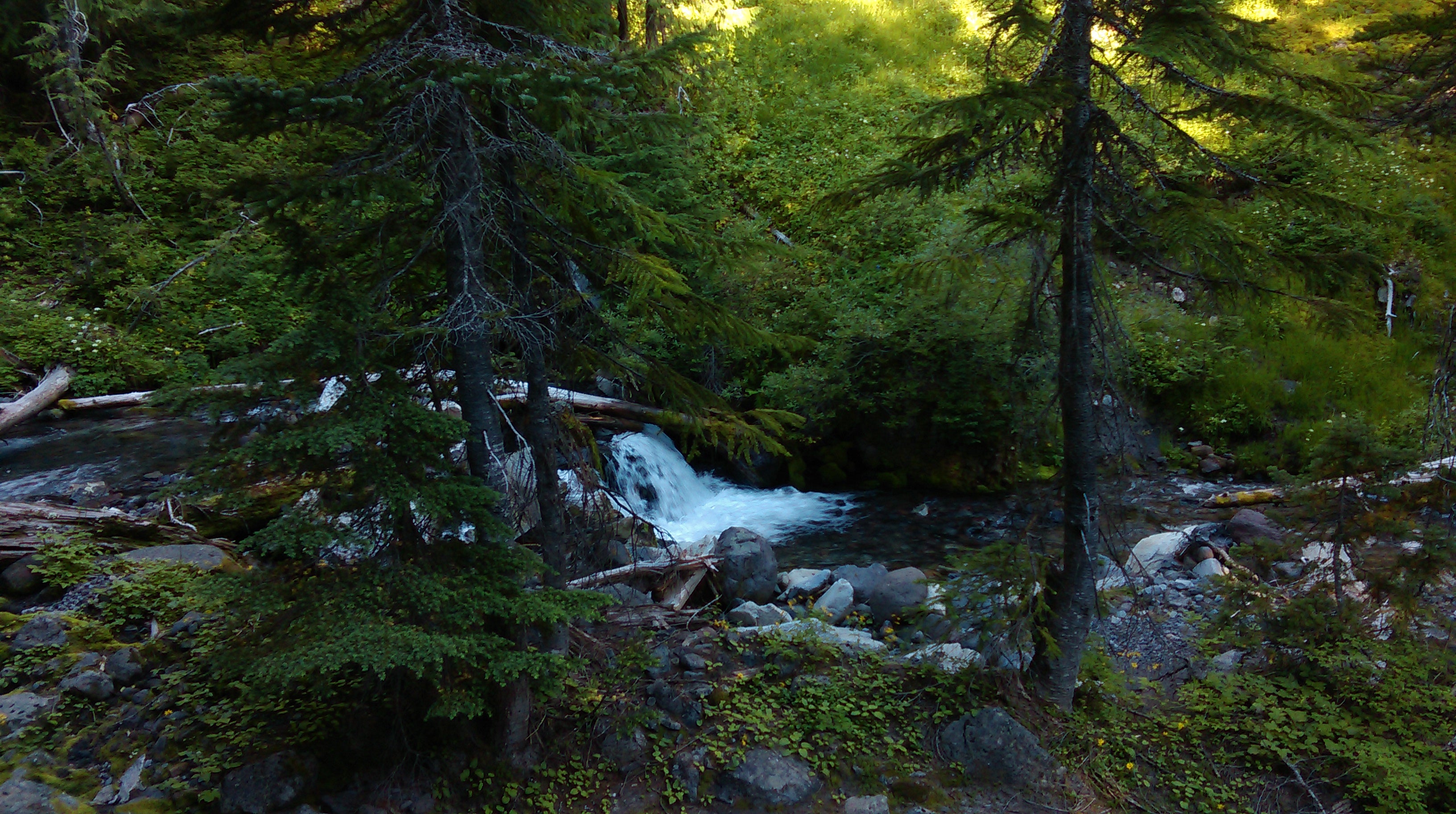 Camper submitted image from Mystic Camp — Mount Rainier National Park - 3