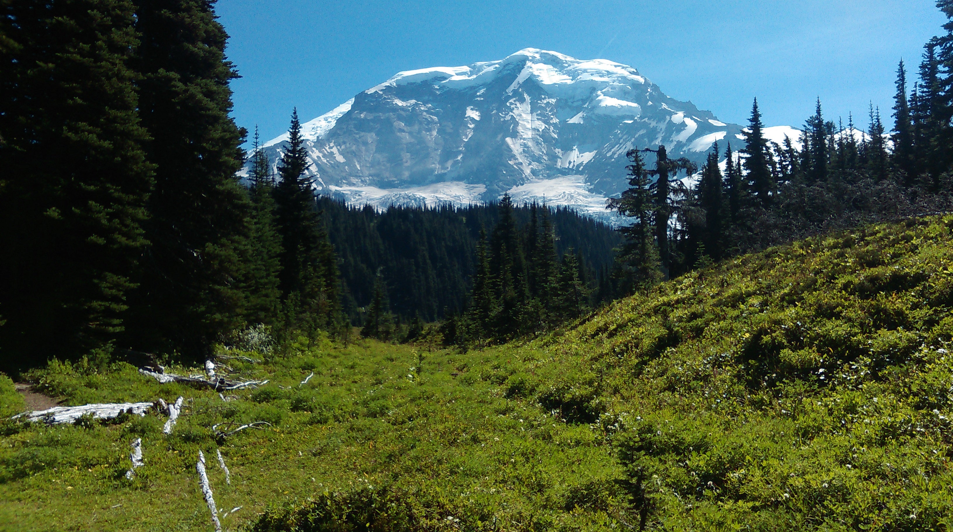 Camper submitted image from Mystic Camp — Mount Rainier National Park - 1
